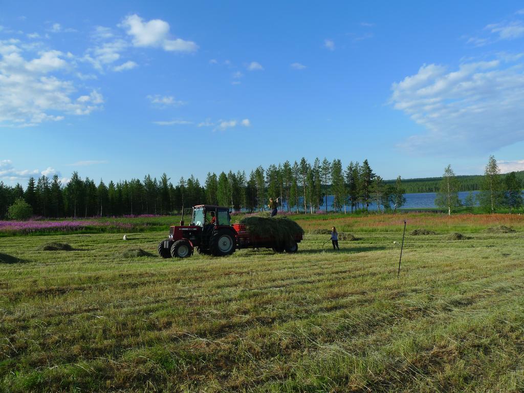 Heidin Mummola Farm Villa Pello Eksteriør bilde