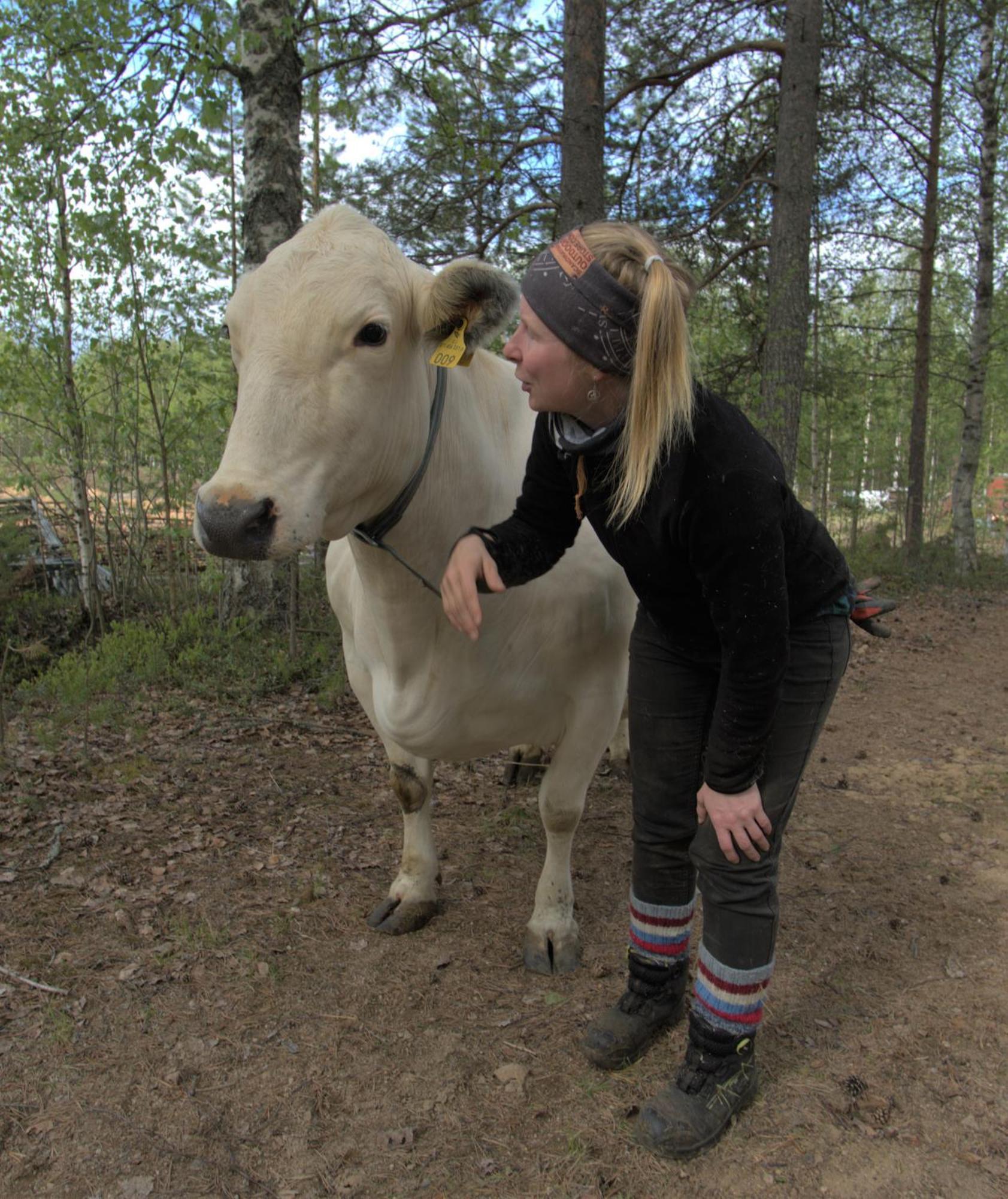 Heidin Mummola Farm Villa Pello Eksteriør bilde