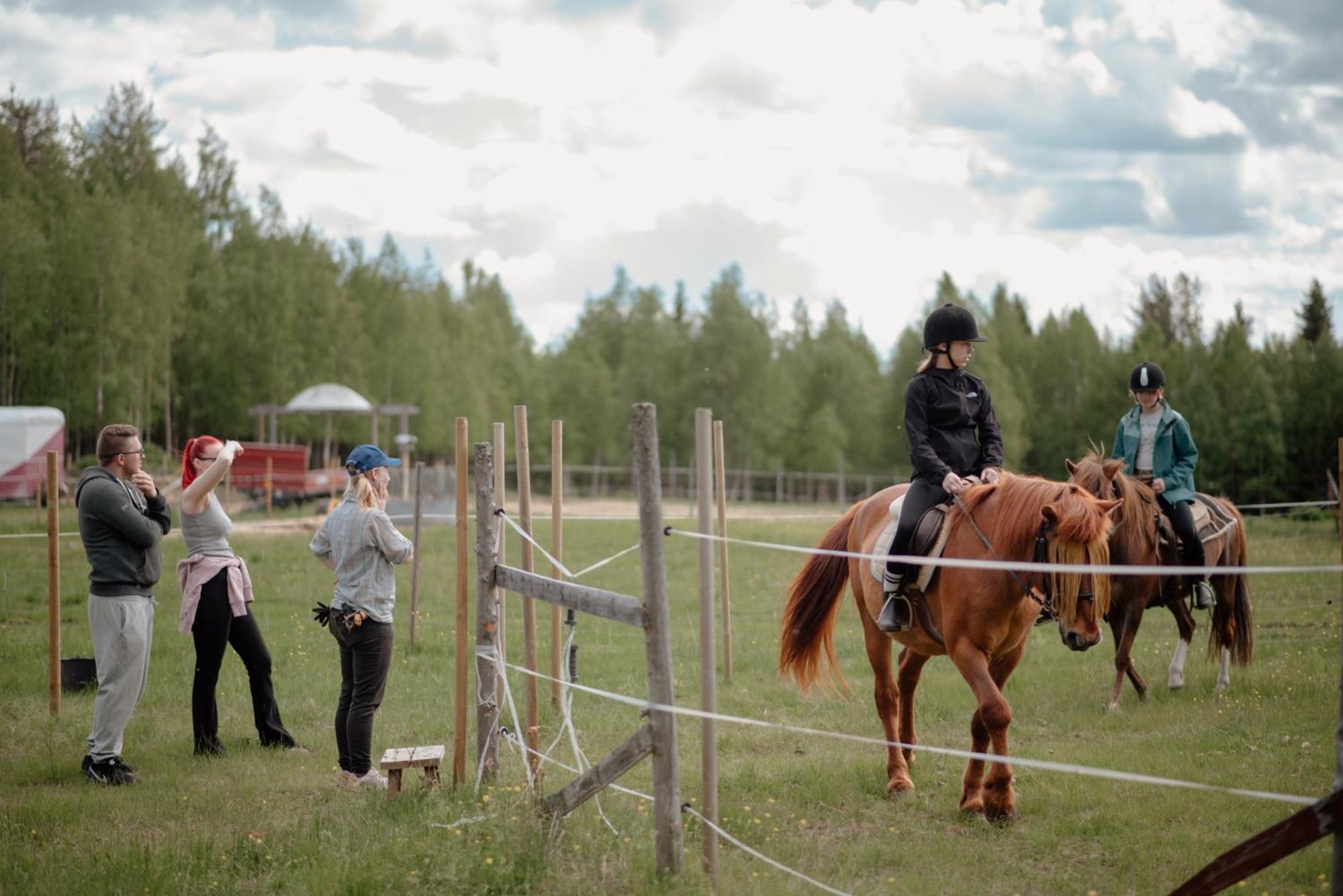 Heidin Mummola Farm Villa Pello Eksteriør bilde